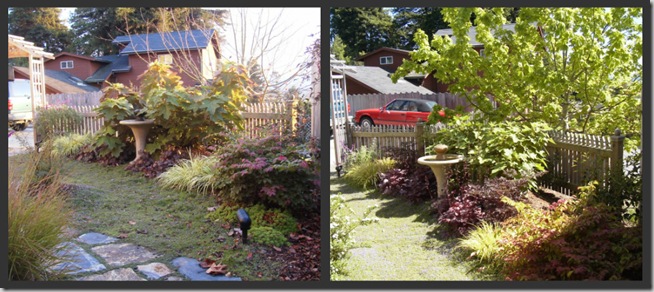 Bird Bath November and May Bird Bath November and May