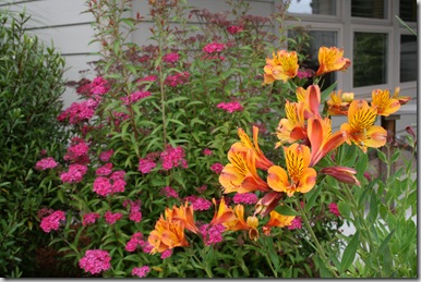 Color! Vibrant, Vibrant Color.