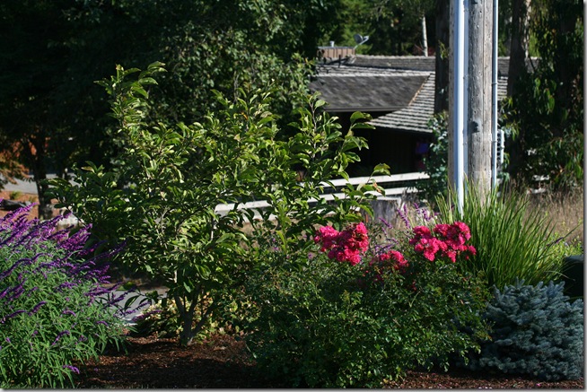 IMG_7790 IMG_7790