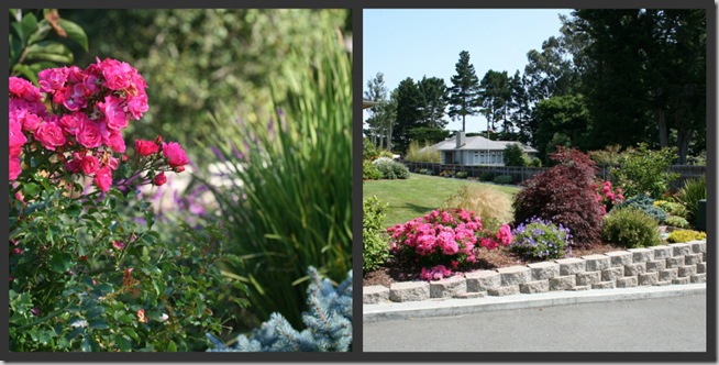 eureka curbside garden eureka curbside garden