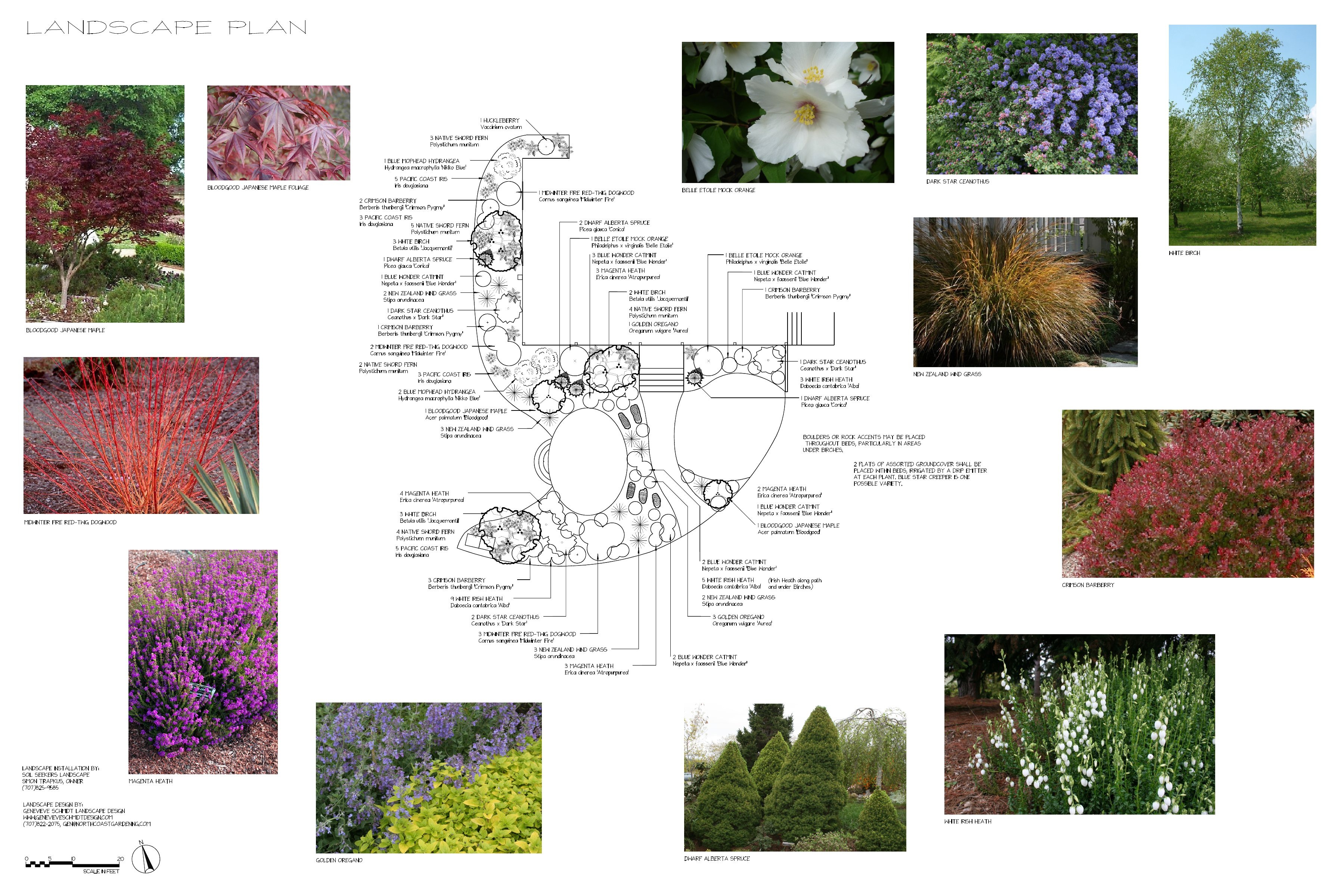 Landscape Plan Example 8